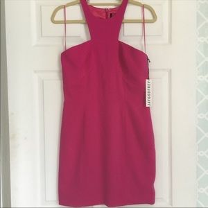 Jay Godfrey Pink Dress